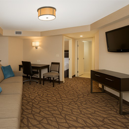 Guest Suites - Embassy Suites by Hilton Niagara Falls - Fallsview Hotel, Canada