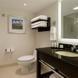Guest Suites - Embassy Suites by Hilton Niagara Falls - Fallsview Hotel, Canada