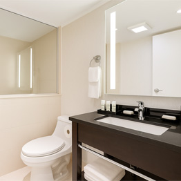 Guest Suites - Embassy Suites by Hilton Niagara Falls - Fallsview Hotel, Canada