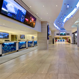 Lobby - Embassy Suites by Hilton Niagara Falls - Fallsview Hotel, Canada