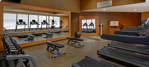 24 Hour Fitness Centre - Embassy Suites by Hilton Niagara Falls - Fallsview Hotel, Canada